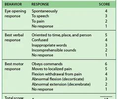 Glascow Coma Scale Flashcards Quizlet