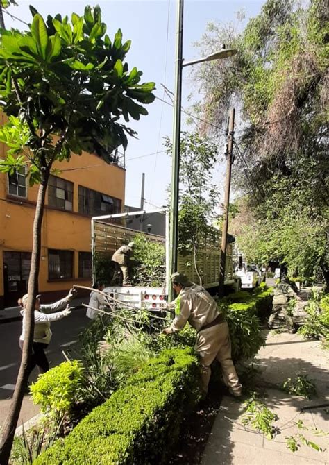 Alcaldía Cuauhtémoc on Twitter En la colonia RomaNorte retiramos