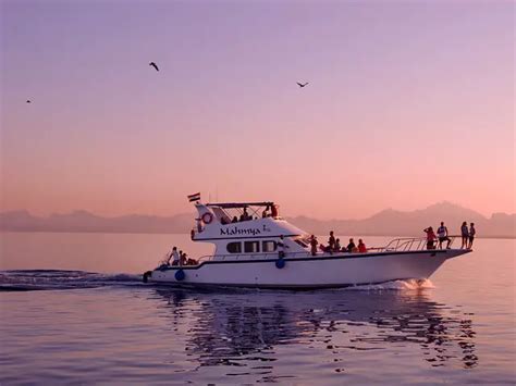 Exploring the Treasures of Egmont Key Snorkeling - GripOutdoor.com