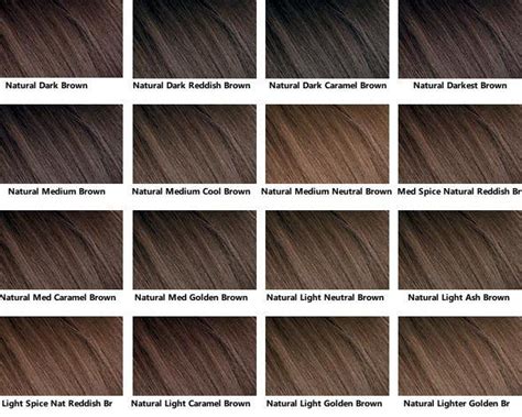 Cool Brown Hair Color Chart - Infoupdate.org | Brown hair color chart ...