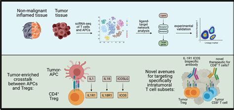 Discovering Novel Tumour‐specific Immune Cell Interactions We Used