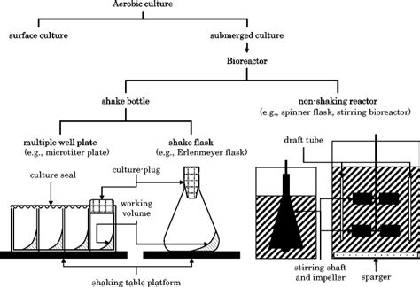 Positioning Of Shake Flask Culture In Aerobic Culture Download