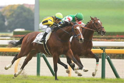 ＜東京5r＞新馬戦を制した戸崎騎乗のソールオリエンス（左手前）（撮影・西川祐介） ― スポニチ Sponichi Annex ギャンブル