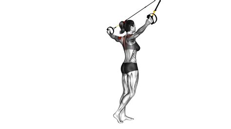 Suspender Reverse Fly Video Guide Tips For Female Fitness