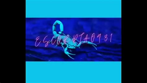 Gozando Na Barriga Videos XVIDEOS