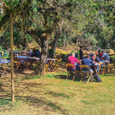 Nosso espaço na floresta é o melhor lugar para reunir os amigos e a