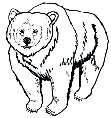 Sleeping Bear Coloring Page at GetColorings.com | Free printable ...