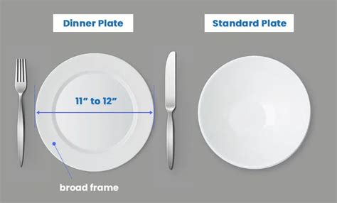 Dinner Plate Size (Standard Measurements) - Designing Idea