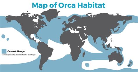 Simplified map of Orca Habitat by SEEtheWILD Conservation