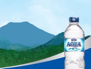 Danone Aqua - Packaging Specialist, Account Payable Manager, Treasury ...