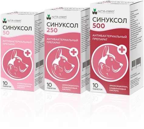 СИНУКСОЛ — НОВЫЙ АНТИБИОТИК ДЛЯ КОШЕК И СОБАК - ЗооМедВет