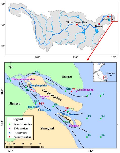 Water Free Full Text River Discharge And Saltwater Intrusion Level