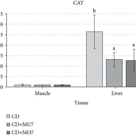 Antioxidant Activities A Catalase Cat B Superoxide Dismutase