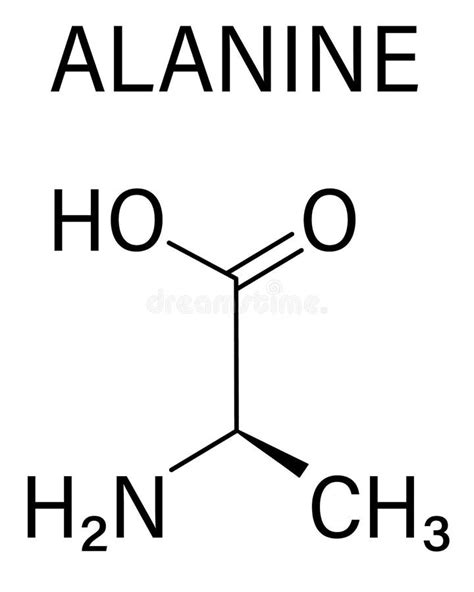 Alanina O Lalanina Ala a Molécula De Aminoácidos Fórmula Esquelética