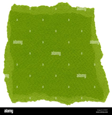 Texture Olive Drab Green Fiber Paper Torn Edges Isolated On White