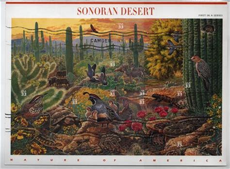 Sonoran Desert Painting At Paintingvalley Explore Collection Of