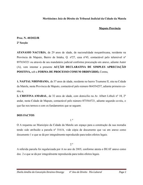 Merit Ssimo Juiz De Direito Do Tribunal De Menores Da Cidade De Maputo