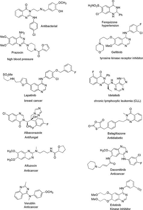 Quinazolinone And Quinazoline Derivatives Synthesis And Biological