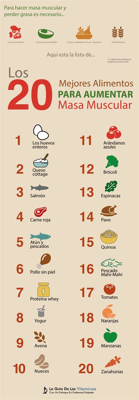 Los 20 Mejores Alimentos Para Aumentar Masa Muscular