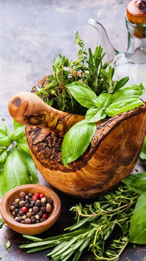 10 Herbs That Help Reduce Cholesterol Naturally In Summer