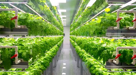 Business model for an innovative Vertical Farming technology - tech-solute