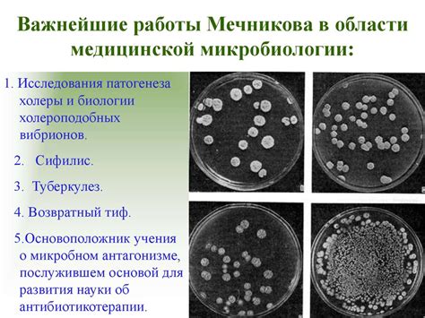 И И Мечников 1845 1916 презентация онлайн