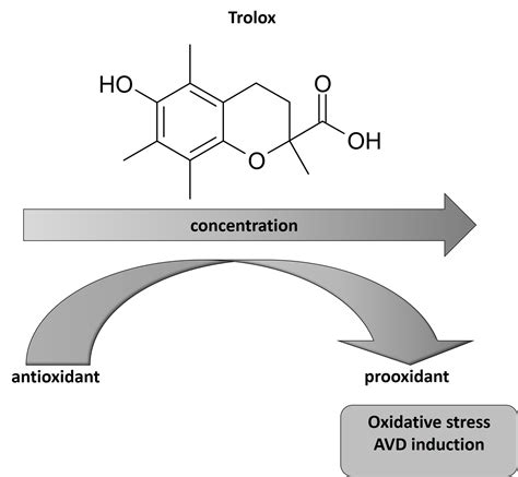 Antioxidants Free Full Text Concentration Dependence Of The