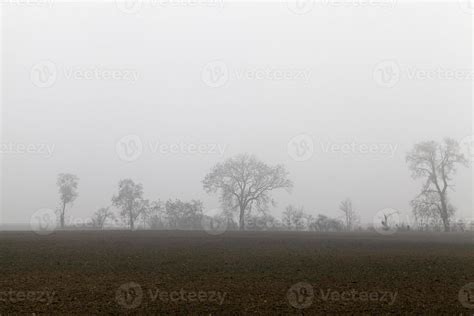 tree silhouette, sky 9414639 Stock Photo at Vecteezy