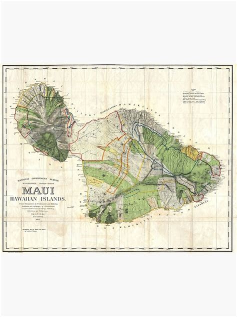 1885 De Witt Alexander Wall Map Of Maui Hawaii Premium Matte Vertical