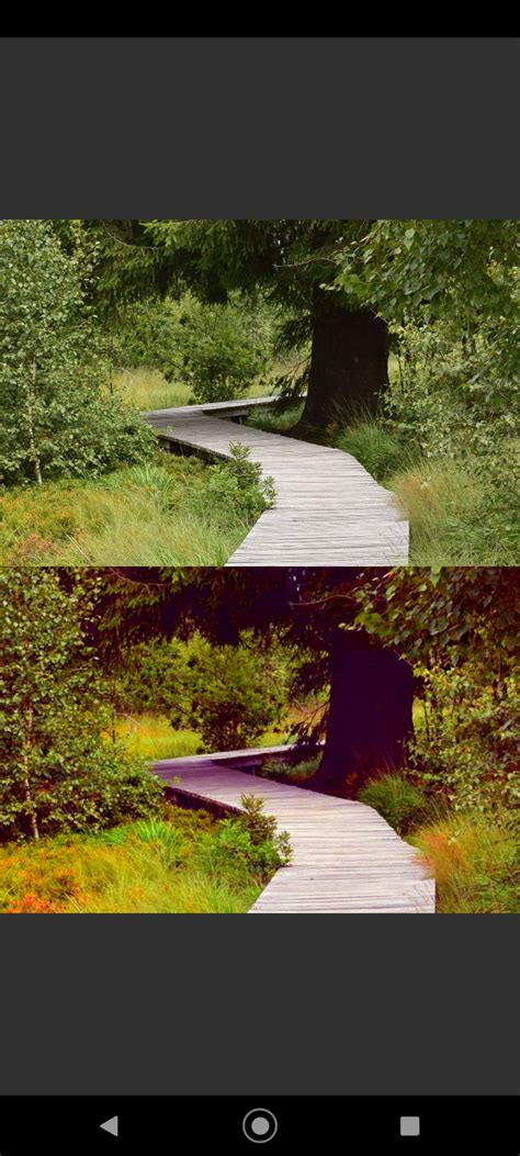 VES - Image and Photo Compare - Easily compare images, photos and pictures 