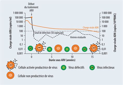 Les Outils De Diagnostic Et De Suivi Virologiques Utiles En 2015 Figure 3