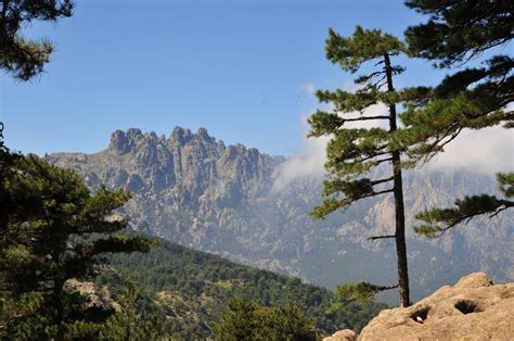 Que Faire Et Voir Bavella En Corse Du Sud Sur La Commune De Quenza