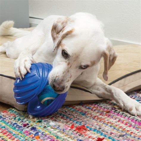 Cuteness Picks 7 Interactive Pet Toys That Are Perfect For Curing