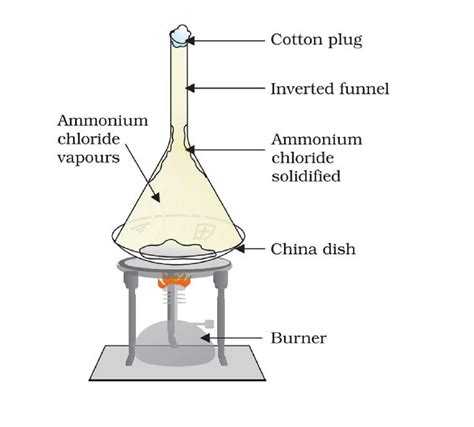 Activity Ncert Science Class Matter In Our Surrounding Studdy