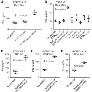 Schema Of Islet Handling And Ex Vivo Isolation And Growth Of T Cells