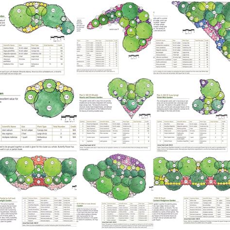 Maryland Dc And Virginia Native Plants Native Garden Plans Galore Native Garden Native