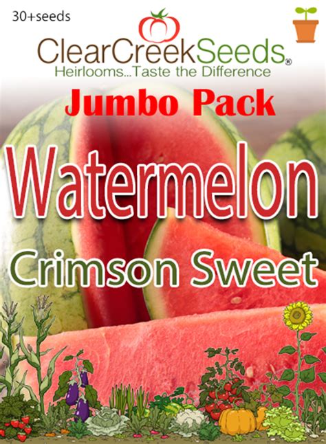 Watermelon - Crimson Sweet (30+ seeds) JUMBO PACK - Clear Creek Seeds