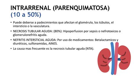 Lesi N Renal Aguda Pptx