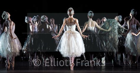 Swan Lake The Royal Ballet Elliott Franks Photography