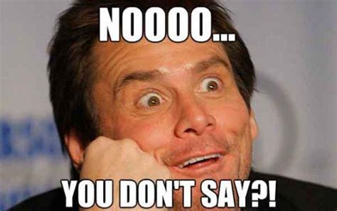 68 Funniest Sarcastic Meme Meme Central