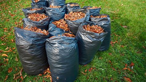 How to rake leaves the easy way — tips and tricks | Tom's Guide