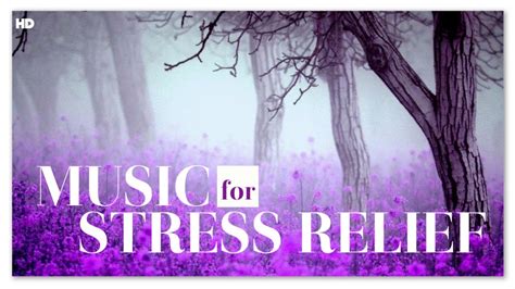 Music For Stress Relief Instrumental Soothing Relaxing Classical