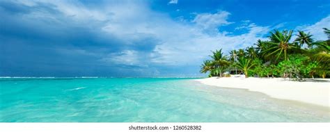 Tropical Maldives Island White Sandy Beach Stock Photo 1260528382 | Shutterstock