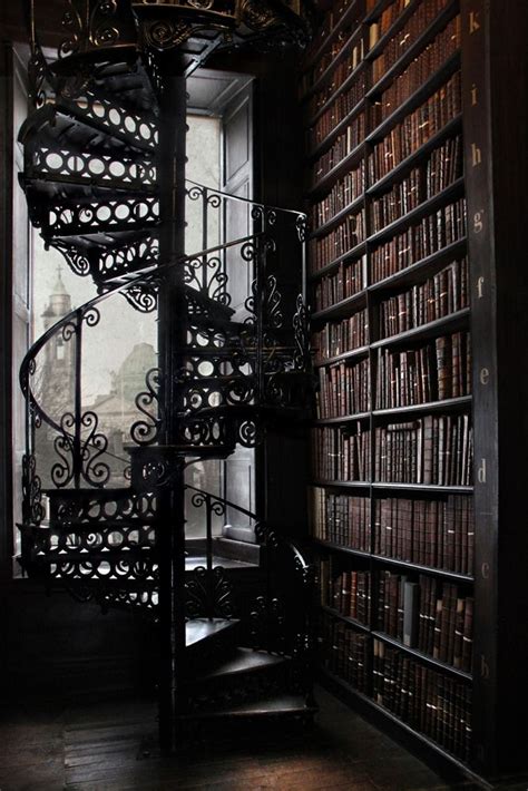 The Library . | Beautiful library, Victorian library, Dark academia aesthetic