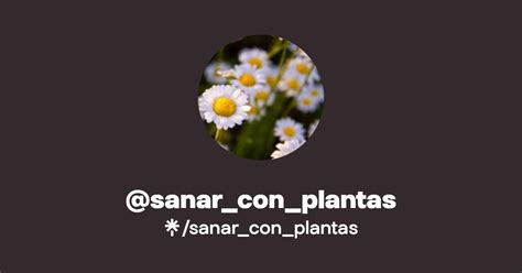 Sanar Con Plantas Instagram Facebook Linktree