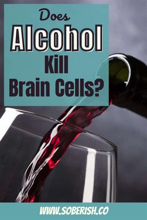 Does Alcohol Really Kill Brain Cells Debunking This Common Myth