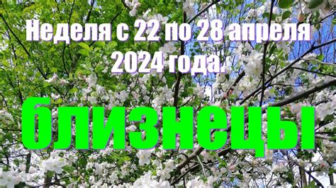 Неделя с 22 по 28 апреля 2024 года.БЛИЗНЕЦЫ ♊️ - YouTube