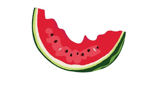 Watermelon Vector Illustration Half Eaten Watermelon Summer Fruit