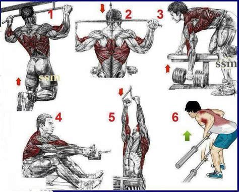 Some Great Back Workouts For You To Try Back Workout For Mass Good