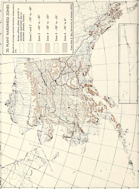 Atlas Of United States Trees Volume 2 Alaska Trees And Common Shrubs
